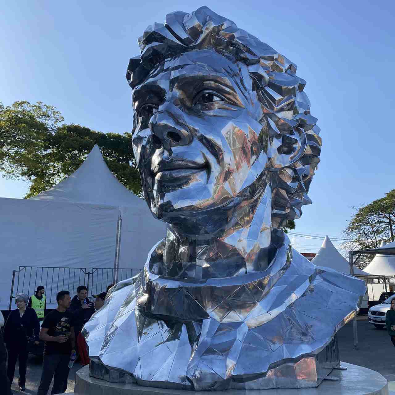 Obra De Arte Com Rosto De Ayrton Senna Pela Artista Lalalli Senna Arte Na Cara